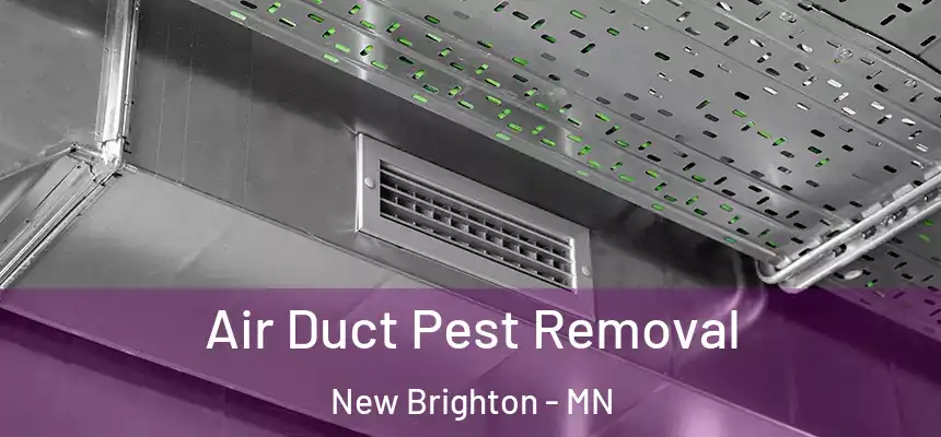 Air Duct Pest Removal New Brighton - MN