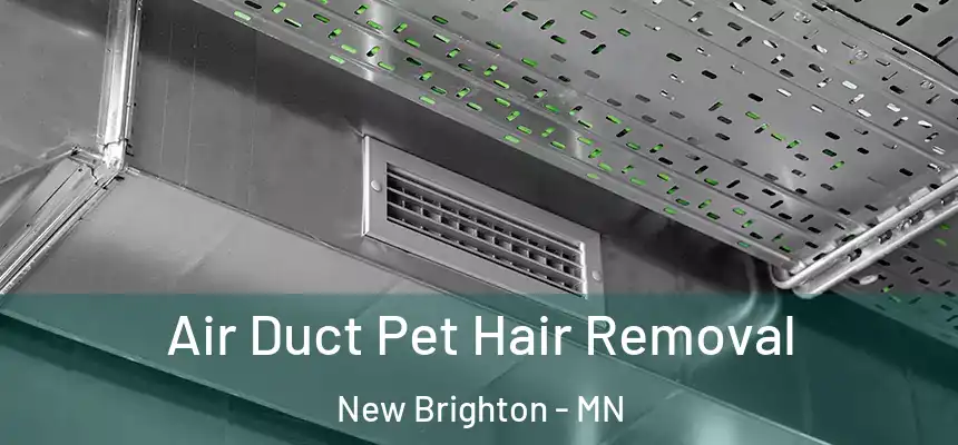 Air Duct Pet Hair Removal New Brighton - MN