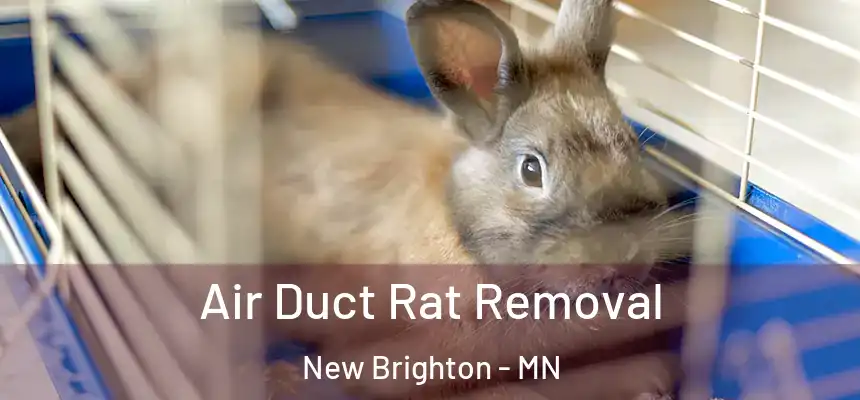 Air Duct Rat Removal New Brighton - MN