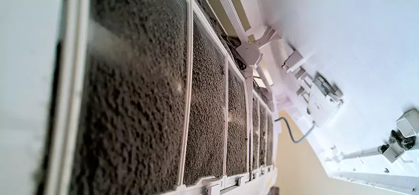 Preventive Air Duct Bacteria Removal in New Brighton