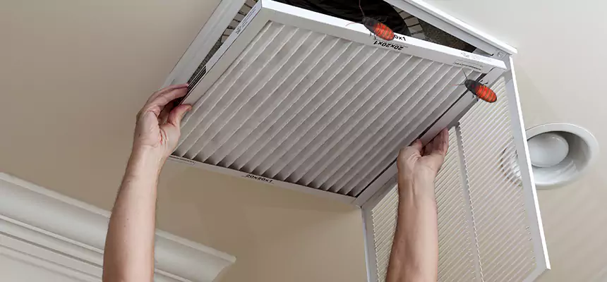 Preventive Cockroach-Proofing for Ducts in New Brighton