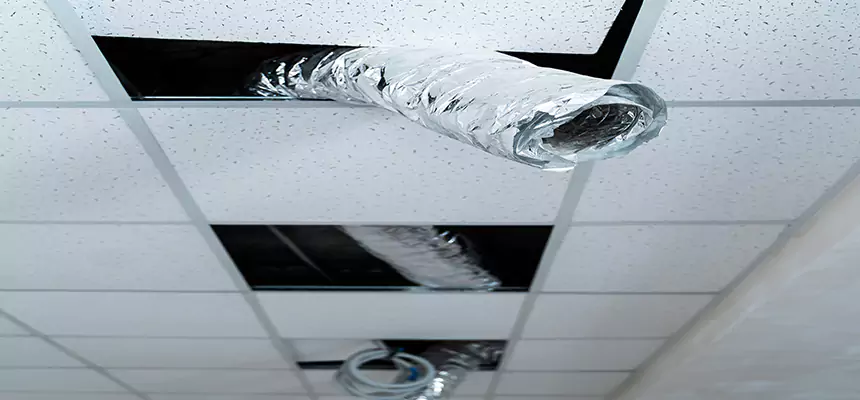 Our Air Duct Pet Hair Removal Services in New Brighton, MN