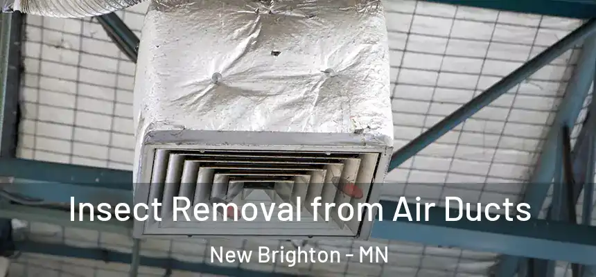  Insect Removal from Air Ducts New Brighton - MN
