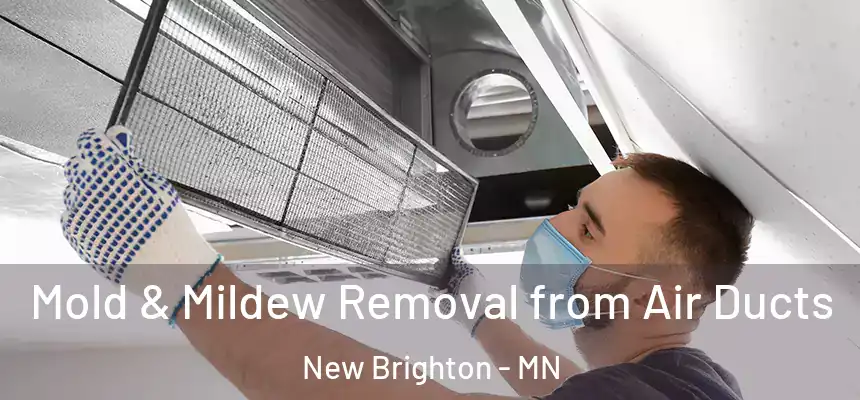 Mold & Mildew Removal from Air Ducts New Brighton - MN