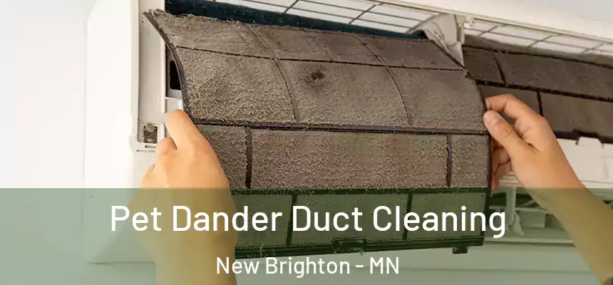 Pet Dander Duct Cleaning New Brighton - MN