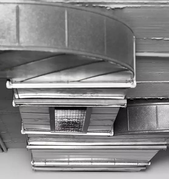 Professional Air Duct Pest Removal in New Brighton, MN