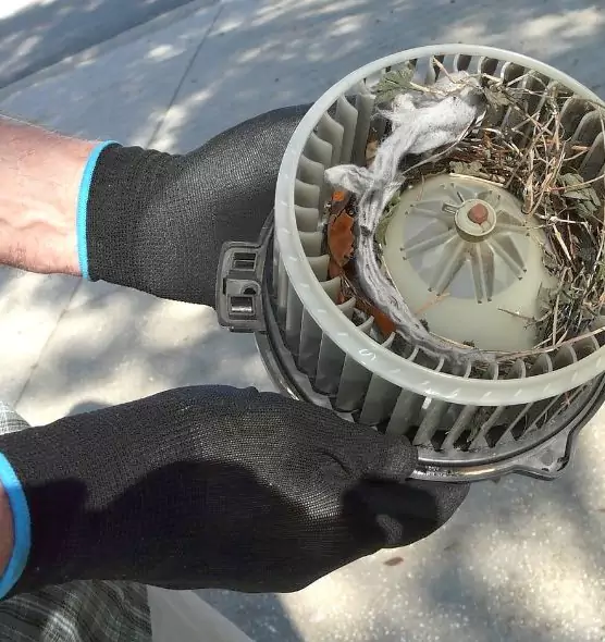 About Air Duct Rat Removal in New Brighton, MN