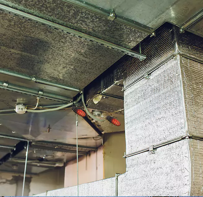 Why Homeowners & Businesses Trust Us in New Brighton, MN?