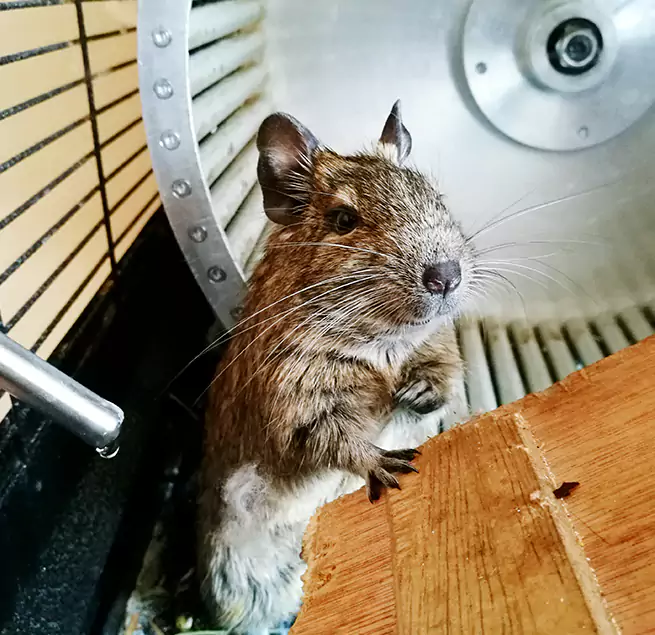 Why Homeowners & Businesses Trust Us New Brighton, MN?