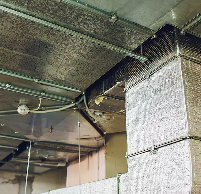 Why Homeowners & Businesses Trust Us in New Brighton, MN?